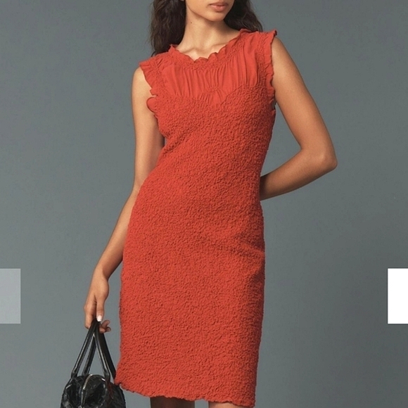 NWT Anthropologie Ruffle trim textured stretch mini dress size medium - Picture 2 of 7